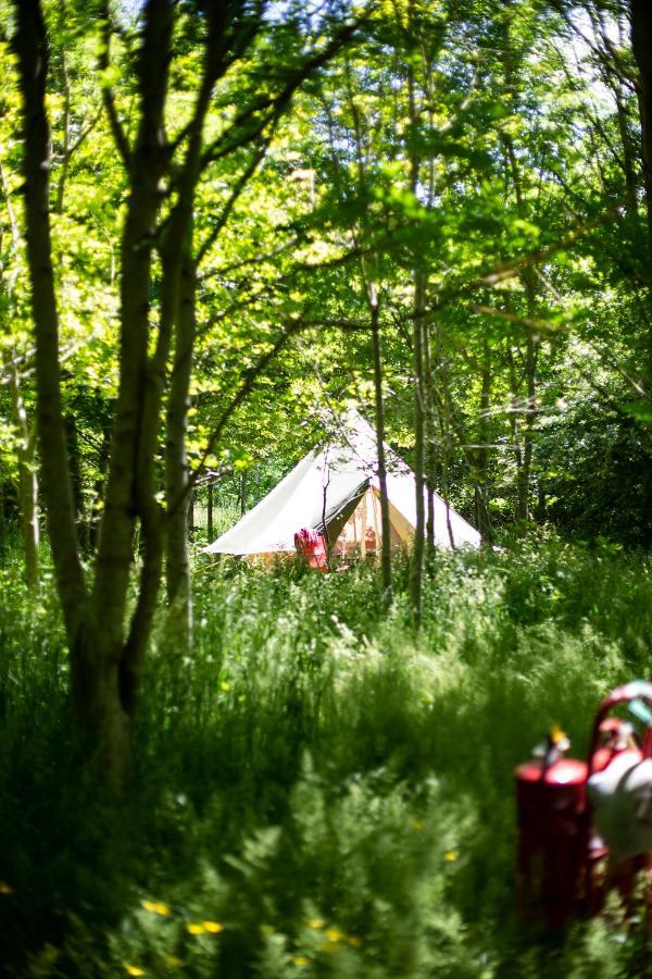 Dgg Woodland Escape Ξενοδοχείο South Barrow Εξωτερικό φωτογραφία