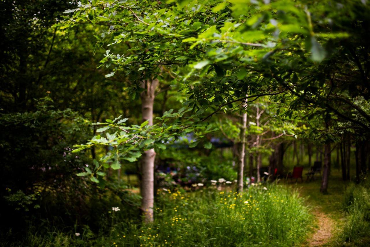 Dgg Woodland Escape Ξενοδοχείο South Barrow Εξωτερικό φωτογραφία