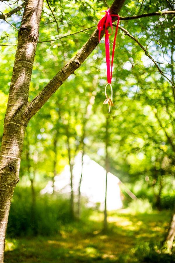 Dgg Woodland Escape Ξενοδοχείο South Barrow Εξωτερικό φωτογραφία