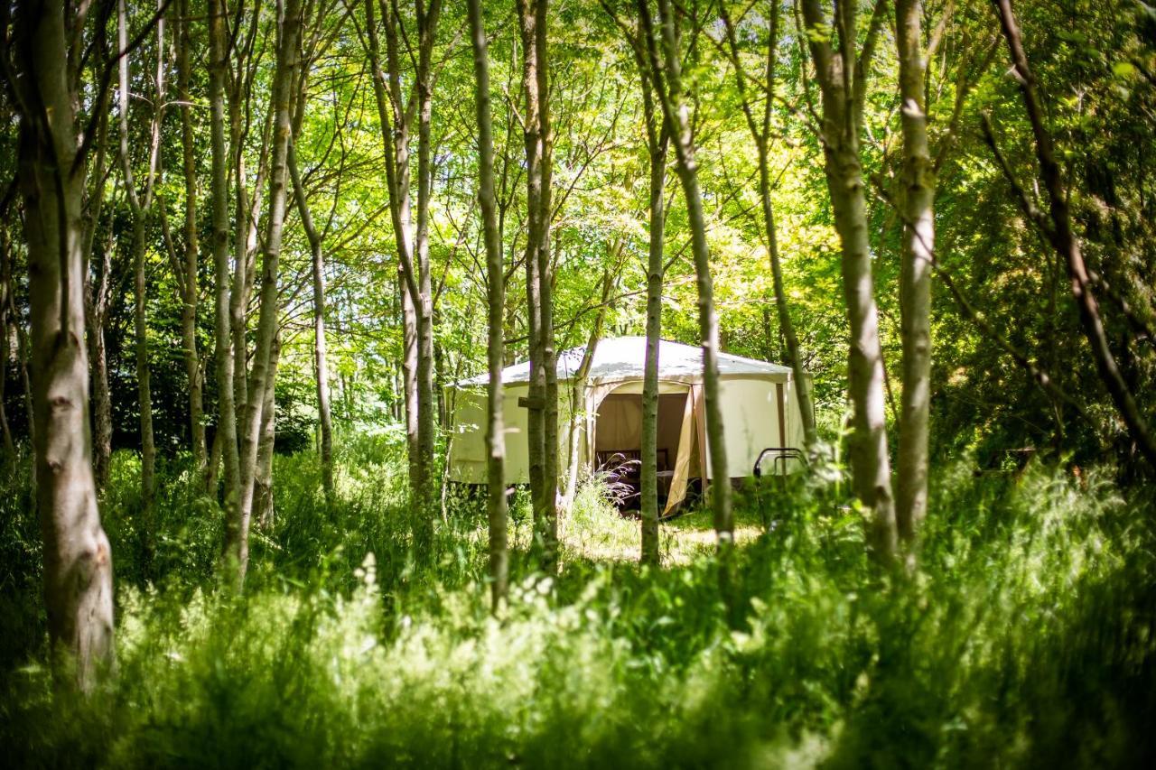 Dgg Woodland Escape Ξενοδοχείο South Barrow Εξωτερικό φωτογραφία