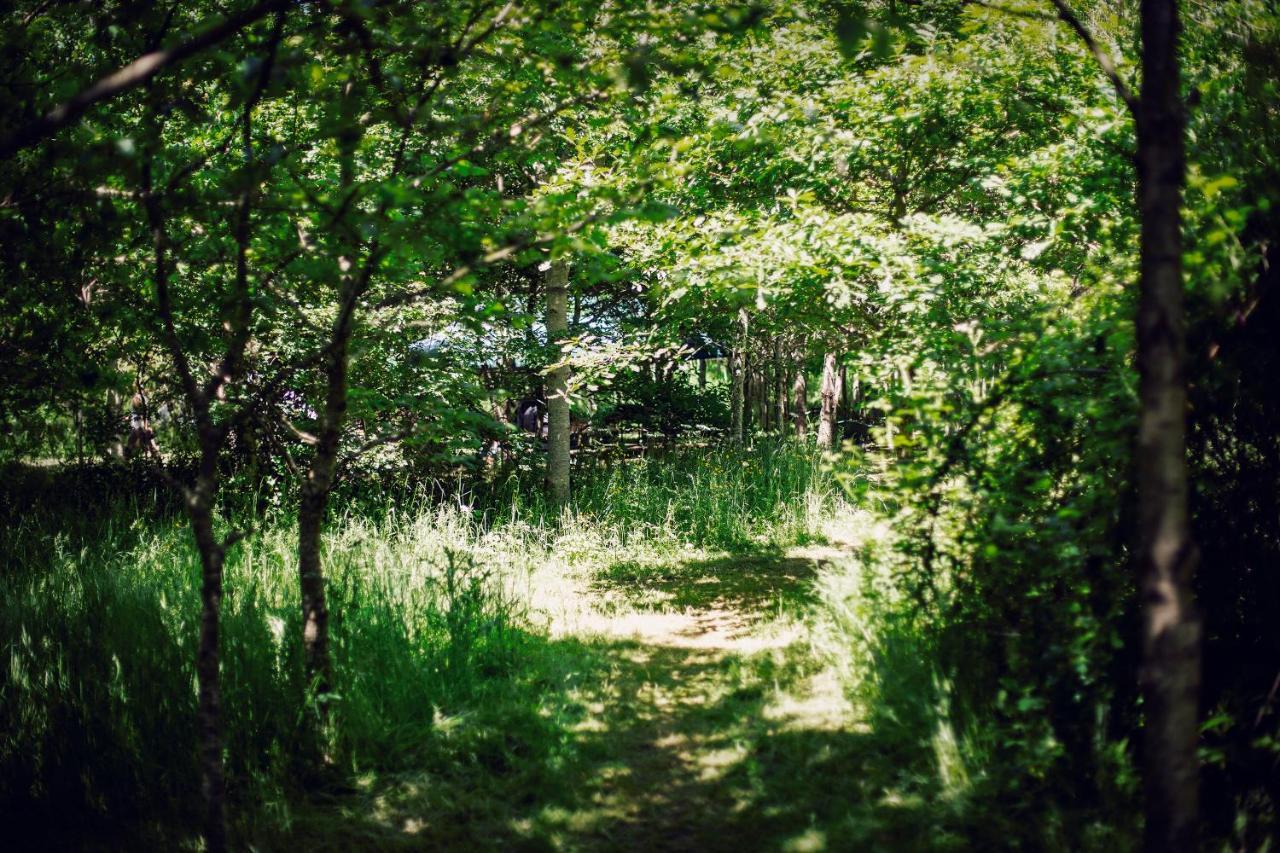 Dgg Woodland Escape Ξενοδοχείο South Barrow Εξωτερικό φωτογραφία