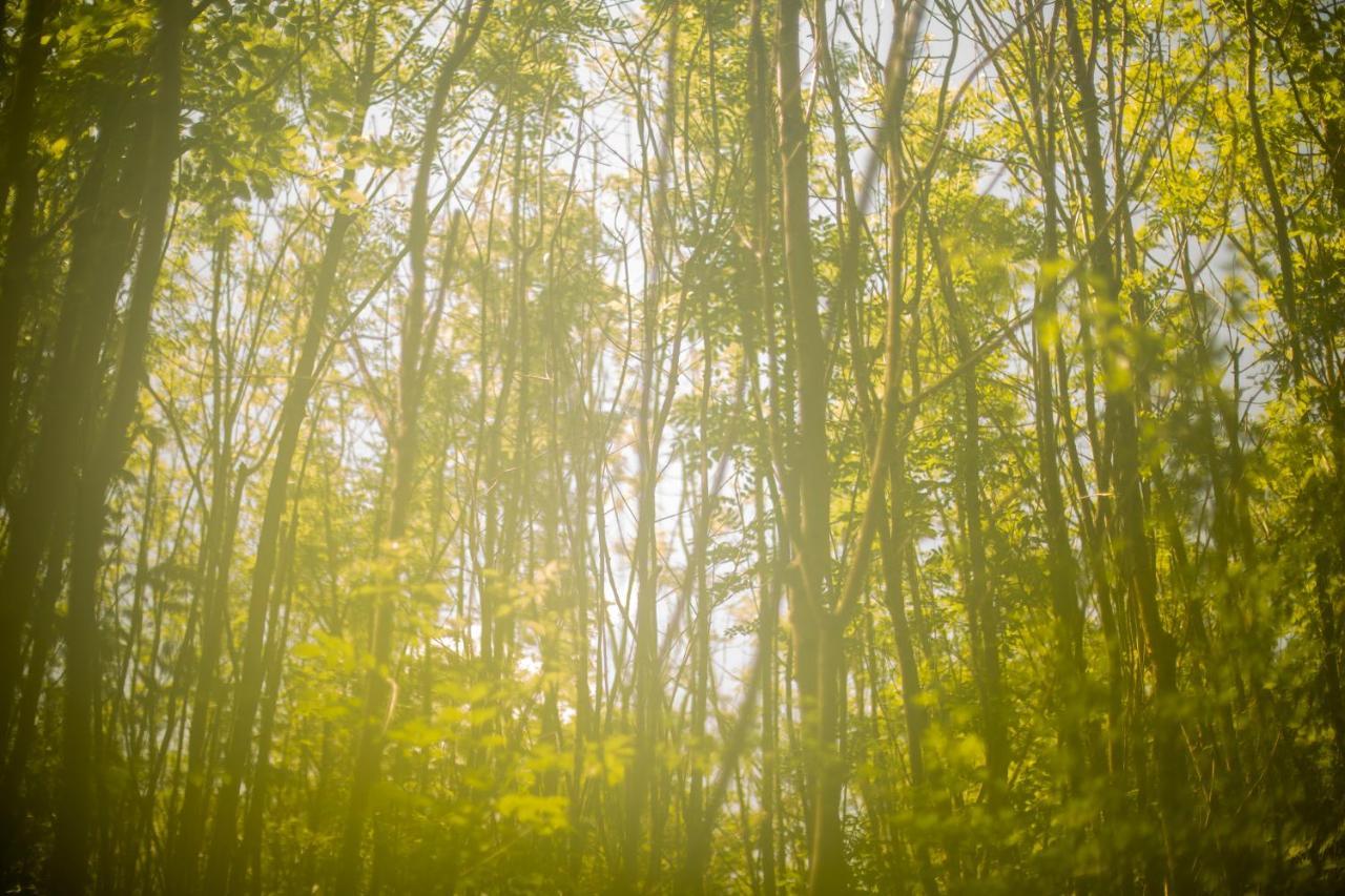 Dgg Woodland Escape Ξενοδοχείο South Barrow Εξωτερικό φωτογραφία