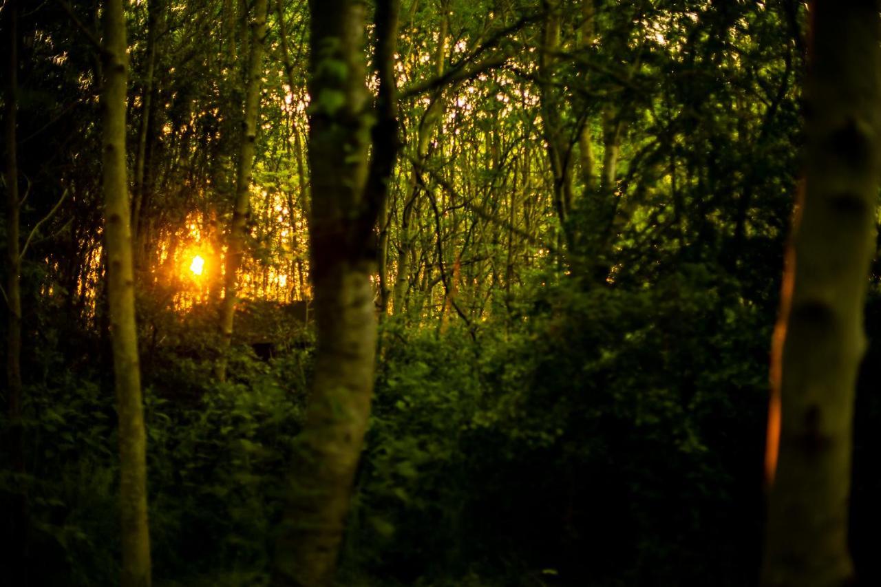 Dgg Woodland Escape Ξενοδοχείο South Barrow Εξωτερικό φωτογραφία