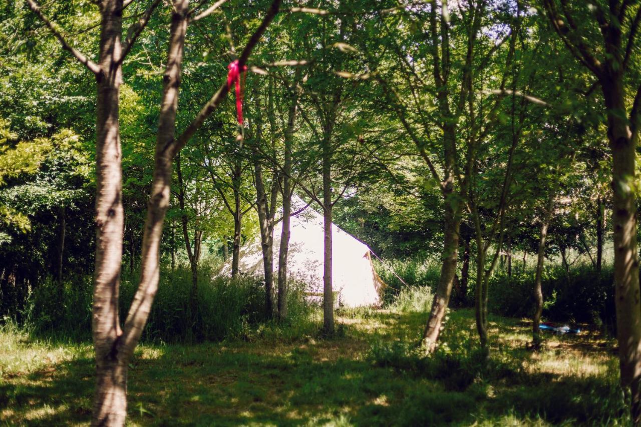 Dgg Woodland Escape Ξενοδοχείο South Barrow Εξωτερικό φωτογραφία