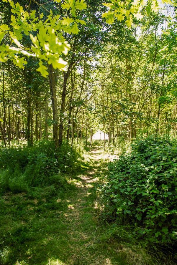 Dgg Woodland Escape Ξενοδοχείο South Barrow Εξωτερικό φωτογραφία