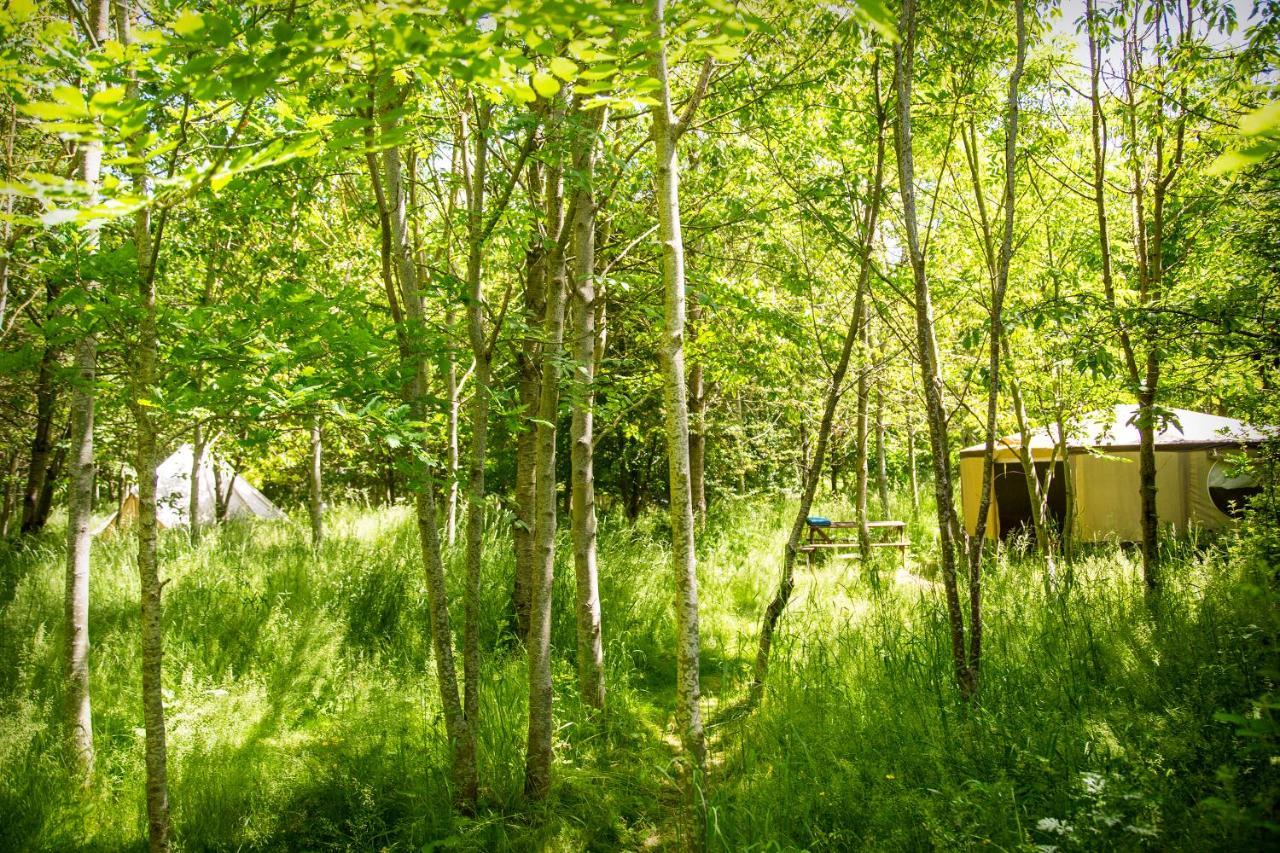 Dgg Woodland Escape Ξενοδοχείο South Barrow Εξωτερικό φωτογραφία