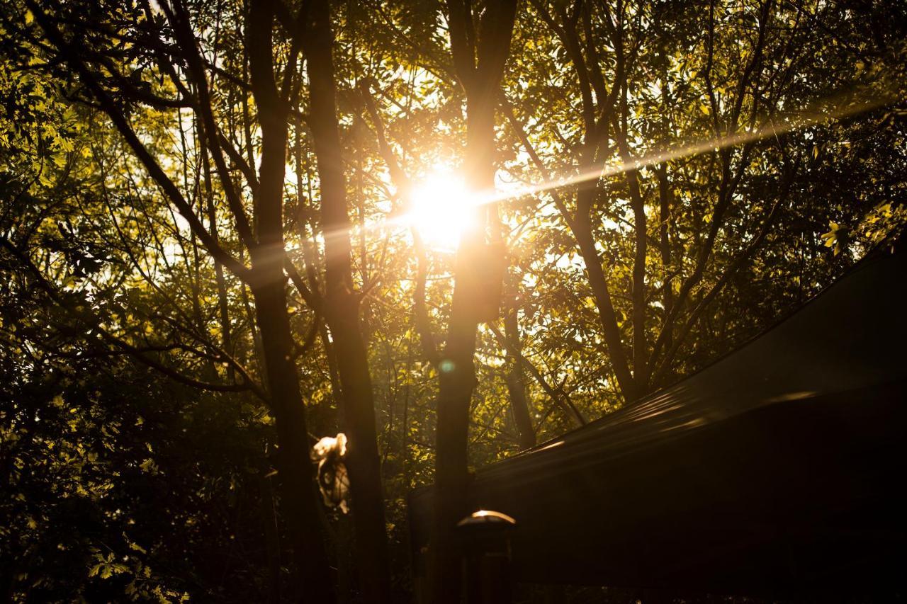 Dgg Woodland Escape Ξενοδοχείο South Barrow Εξωτερικό φωτογραφία