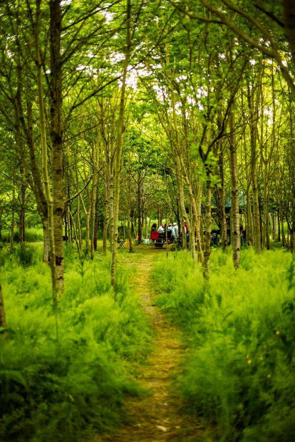 Dgg Woodland Escape Ξενοδοχείο South Barrow Εξωτερικό φωτογραφία
